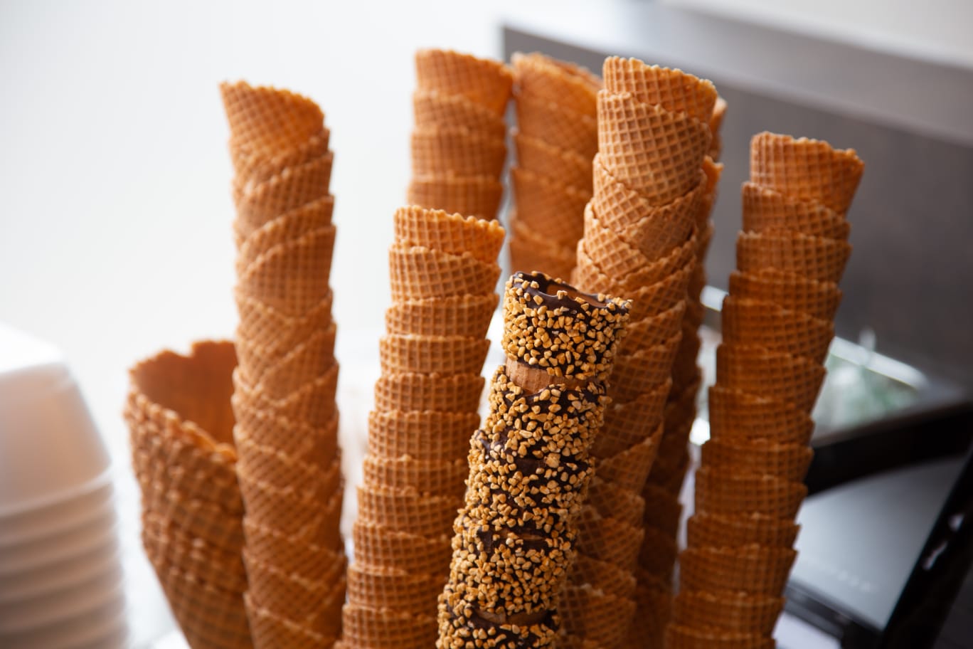 fe130372-4331-489e-93dd-05e903be8825